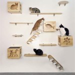 Creative Wall Mounted Cat Shelves For Your Feline Friend