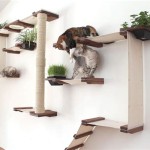 Discover The Wonders Of Cat Wall Mounted Furniture