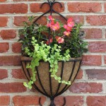 Outdoor Wall Mounted Planters: A Guide