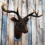 Wall Mount Taxidermy - Bringing Taxidermy Into Your Home Decor