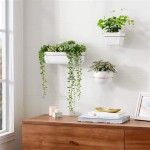 Wall Mounted Indoor Planters – A Guide To The Benefits And Types